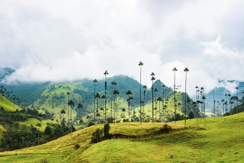 Colombia, país lleno de naturaleza y biodiversidad